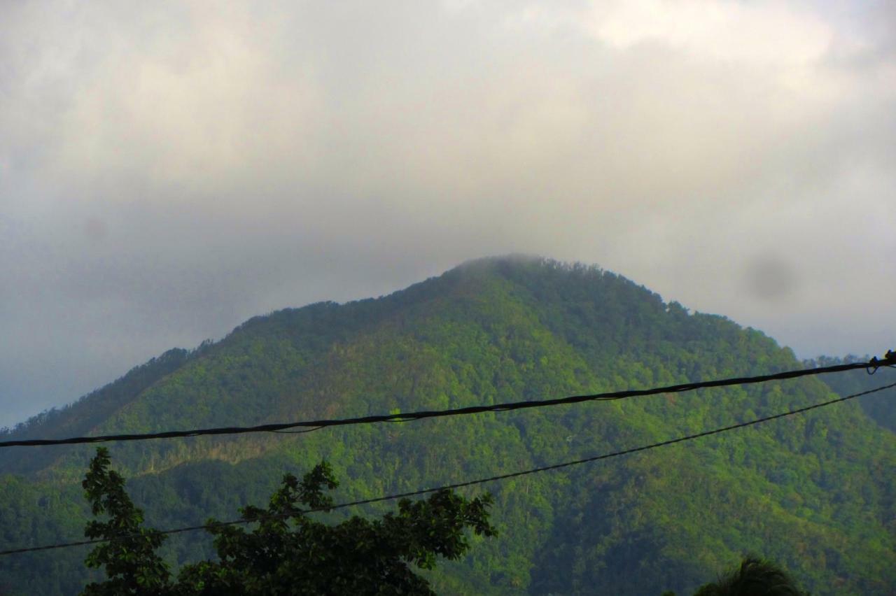 Or Bleu-Bungalow Volcan Soufriere-Vue Sur Mer Saint-Claude Esterno foto