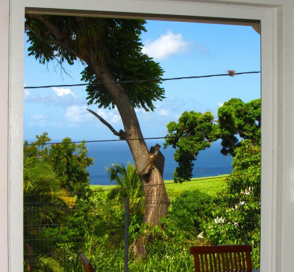 Or Bleu-Bungalow Volcan Soufriere-Vue Sur Mer Saint-Claude Esterno foto